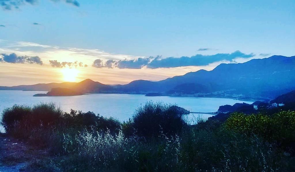 Apartments Dragisic Sveti Stefan Εξωτερικό φωτογραφία